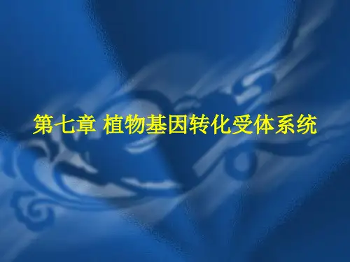细胞工程第七章 植物转化受体系统