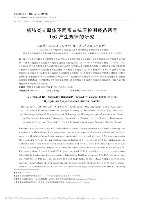 猪肺炎支原体不同蛋白抗原检测疫苗诱导IgG产生规律的研究_杜改梅