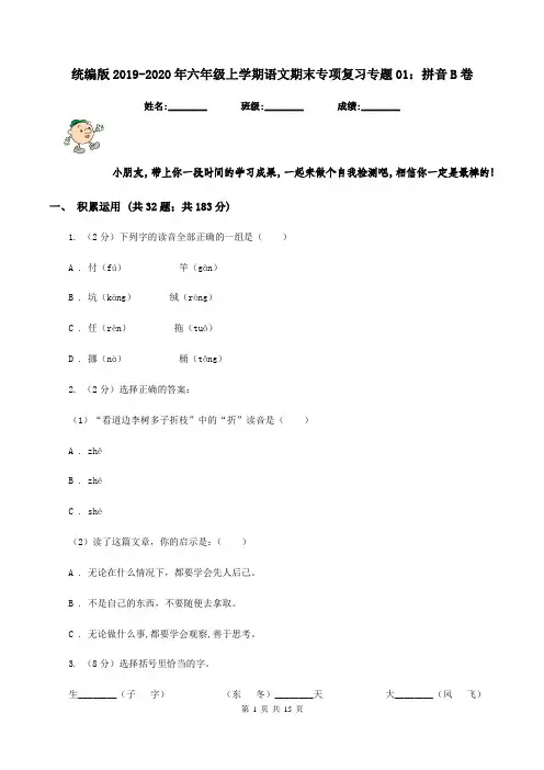 统编版2019-2020年六年级上学期语文期末专项复习专题01：拼音B卷