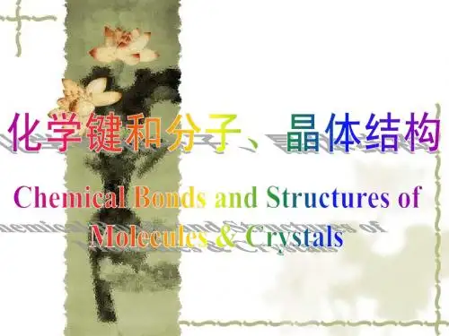 分子结构