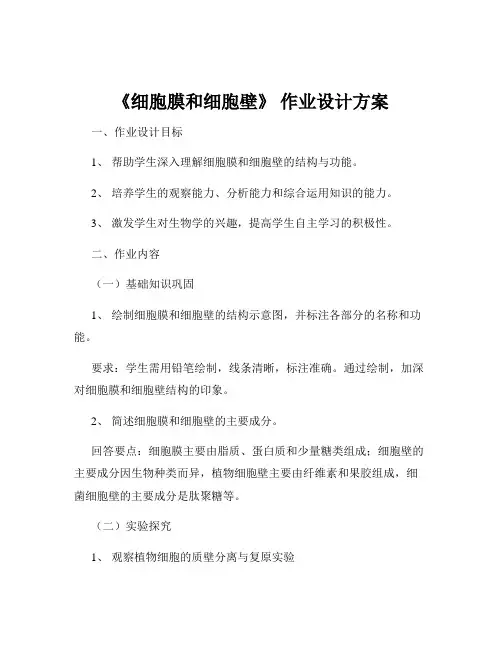 《细胞膜和细胞壁》 作业设计方案