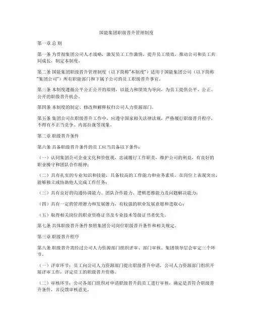 国能集团职级晋升管理制度