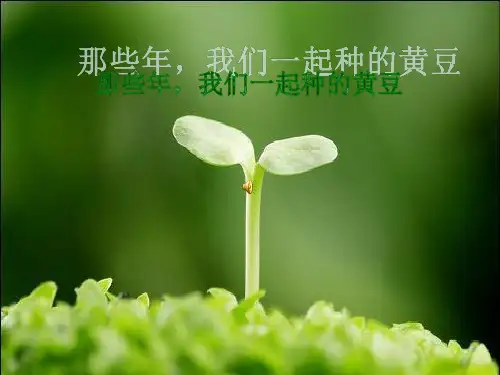 关于种植的ppt