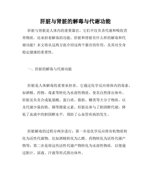 肝脏与肾脏的解毒与代谢功能