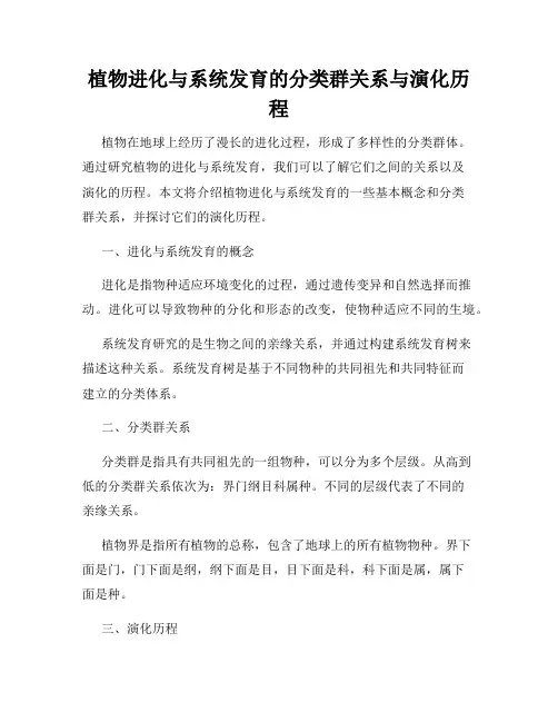植物进化与系统发育的分类群关系与演化历程