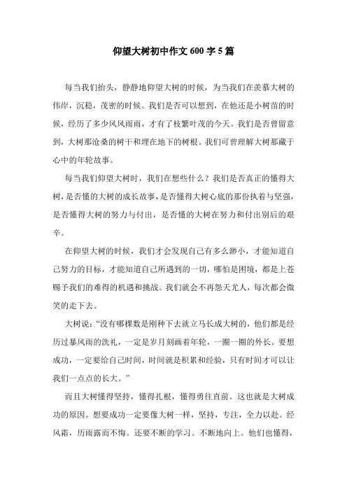 仰望大树初中作文600字5篇 .doc