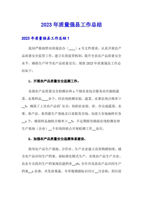 2023年质量强县工作总结