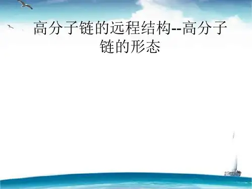 高分子链的形态