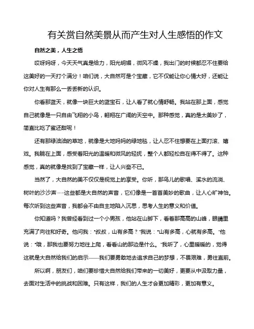 有关赏自然美景从而产生对人生感悟的作文