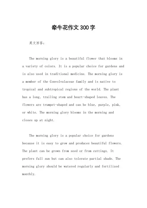 牵牛花作文300字