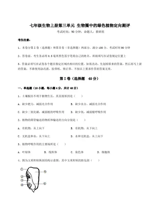 重难点解析人教版七年级生物上册第三单元 生物圈中的绿色植物定向测评试卷(含答案详解)