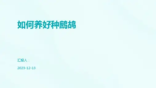 如何养好种鹧鸪