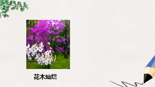 二年级语文上册《迷人的秋色》课件3 沪教版