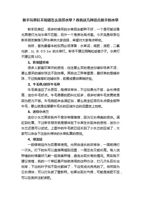 新手玩草缸不知道怎么选择水草？看看这几种适合新手的水草