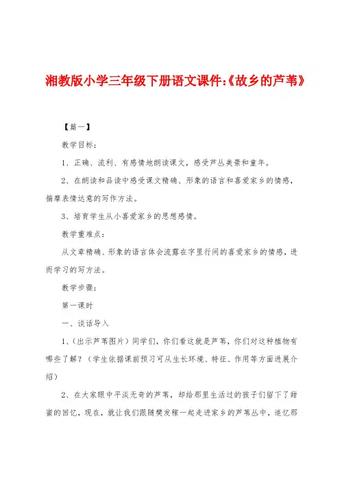 湘教版小学三年级下册语文课件：《故乡的芦苇》