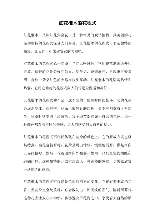 红花檵木的花程式