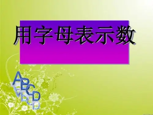 《用字母表示数》方程PPT课件