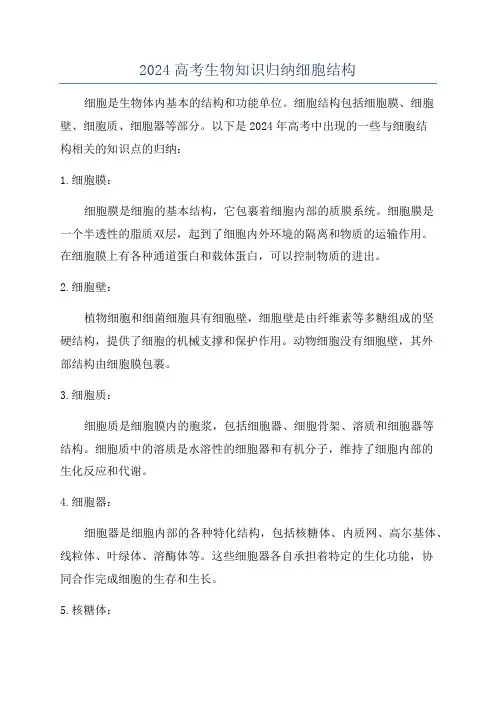 2024高考生物知识归纳细胞结构