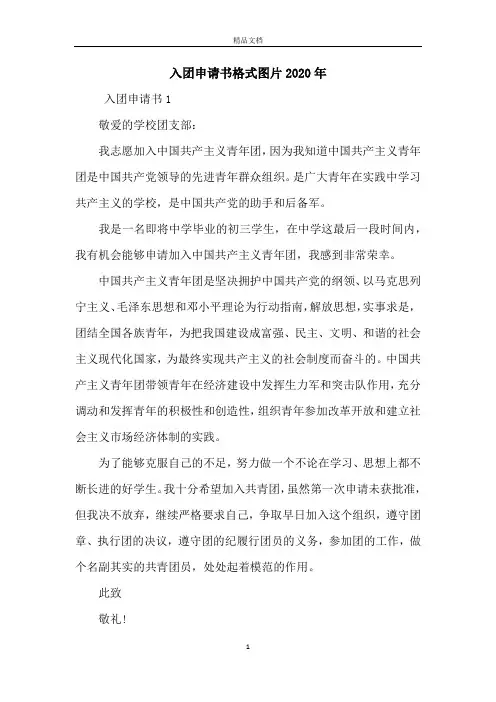 入团申请书格式图片2020年