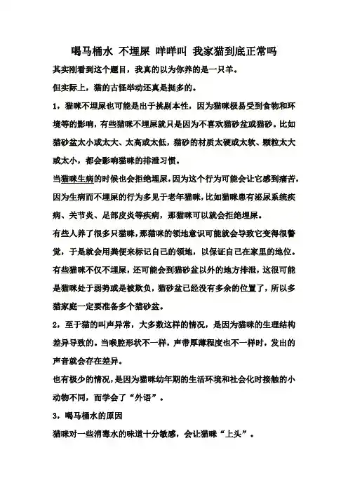 喝马桶水 不埋屎 咩咩叫 我家猫到底正常吗
