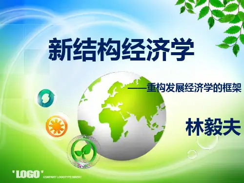 林毅夫 新结构主义