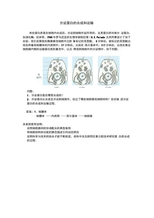 分泌蛋白的合成和运输