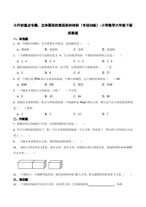 小升初重点专题立体图形的表面积和体积(易错专项)-小学数学六年级下册