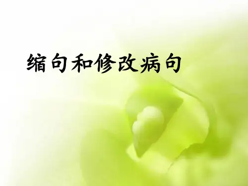 缩句及修改病句