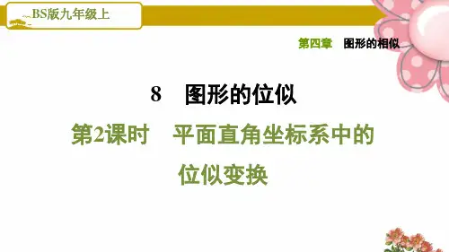 《平面直角坐标系中的位似变换》PPT课件