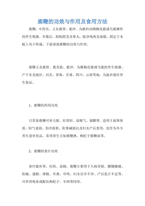 鹿鞭的功效与作用及食用方法