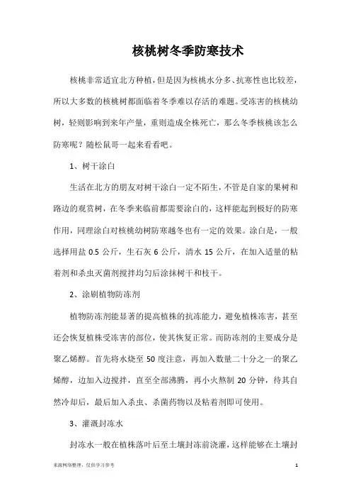 核桃树冬季防寒技术