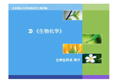 生物化学-03 蛋白质3 结构