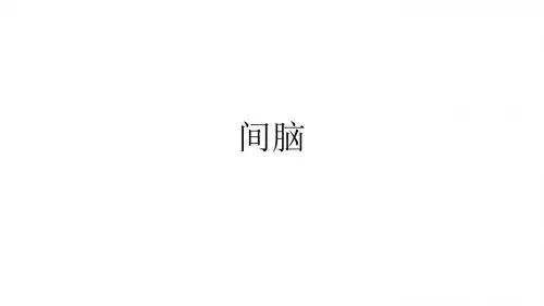 间脑