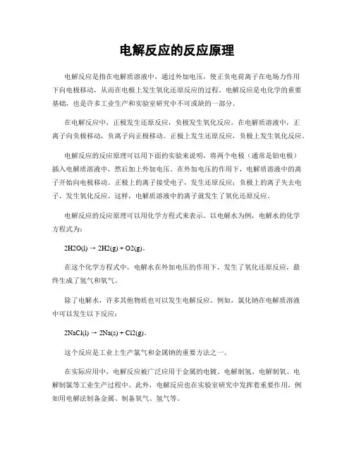 电解反应的反应原理