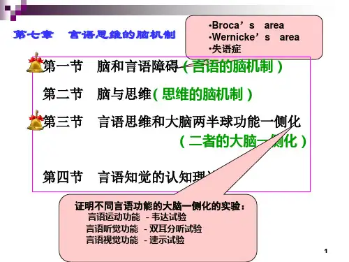 生理心理学第七章_言语与思维的脑机制