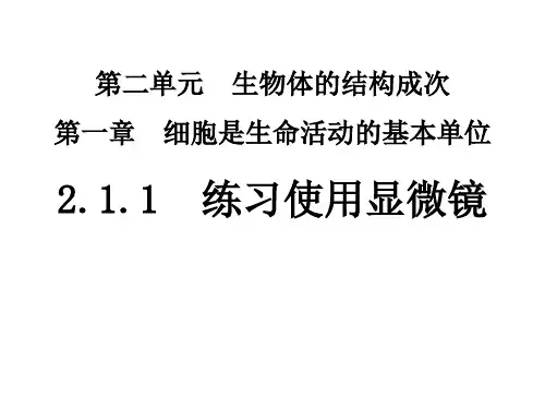 人教版七年级上练习使用显微镜课件