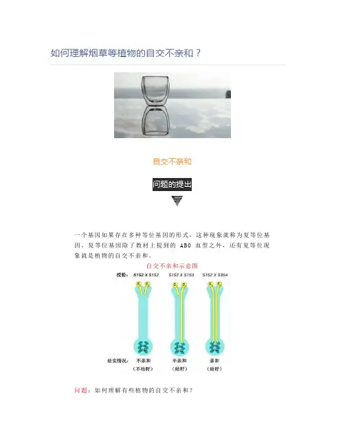 如何理解烟草等植物的自交不亲和