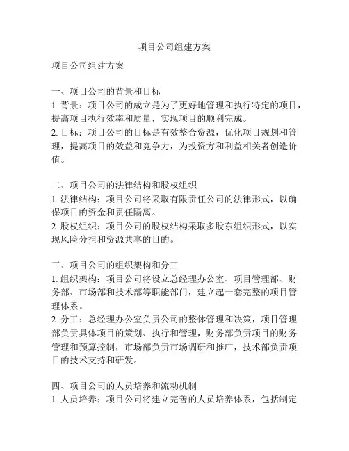 项目公司组建方案