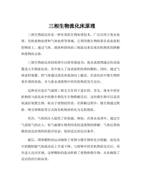 三相生物流化床原理