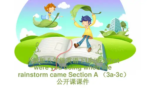 人教版八年级英语下Unit5 What were you doing when the rainstorm came Section A (3a-3c)公开课课件