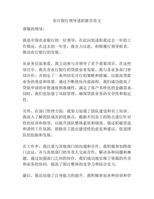 农行银行领导述职报告范文