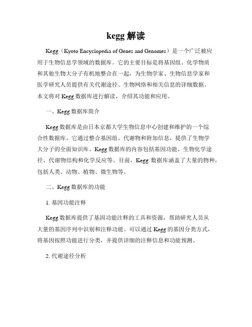 kegg 解读