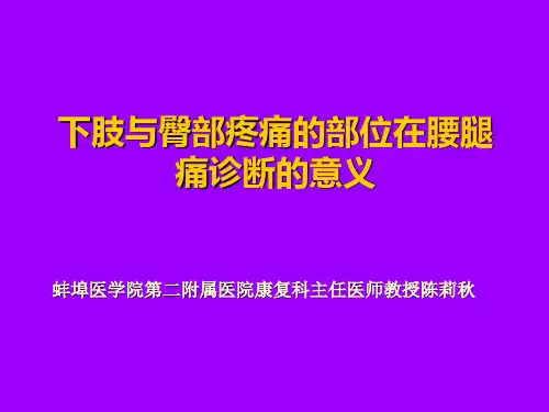 坐骨神经痛定位