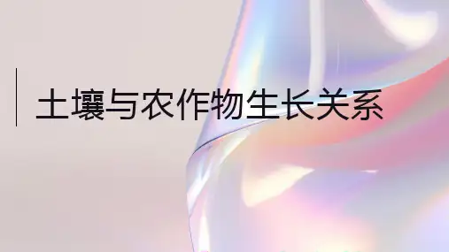 土壤与农作物生长关系