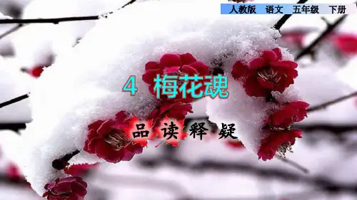 人教部编版五年级语文下册第4课《梅花魂》课件