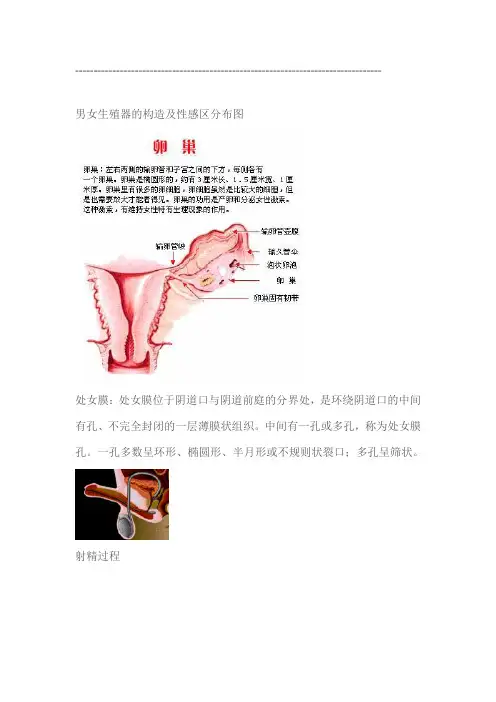 男女生殖器的构造及性感区分布图