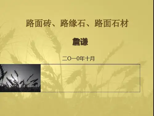 路面砖,路缘石,路面石材检测方案