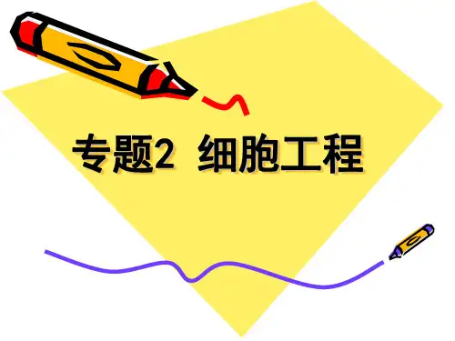 植物组织培养