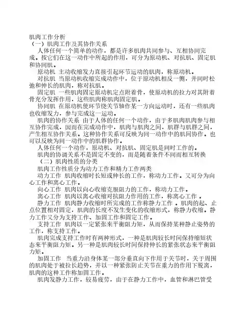 肌肉工作分析