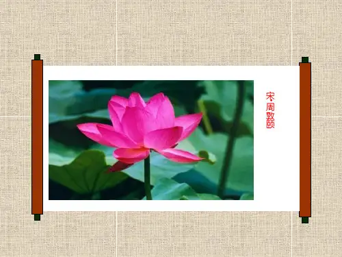 爱莲说2优质课件PPT